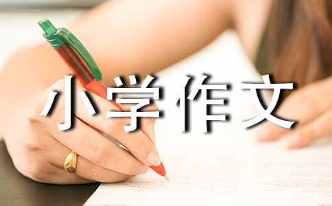 科普小學作文