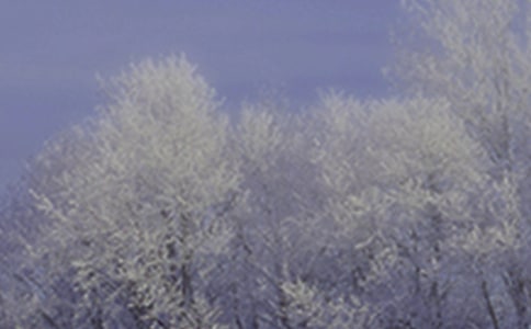 小雪搞笑祝福語210句