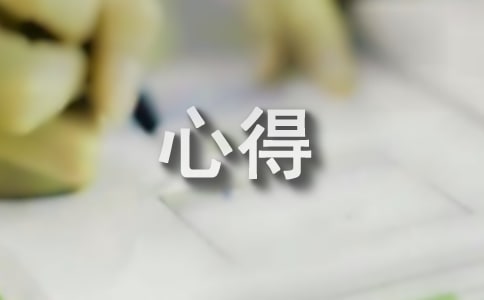 公益勞動(dòng)個(gè)人心得