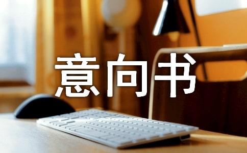 項目投資的意向書