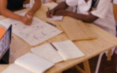 企業網絡營銷策劃方案