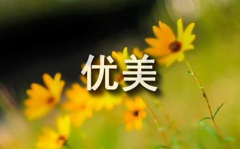 描寫天氣的優(yōu)美句子