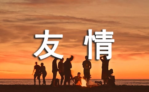 2023年有關(guān)友情句子集錦99句