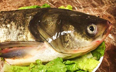 蒸魚頭做法