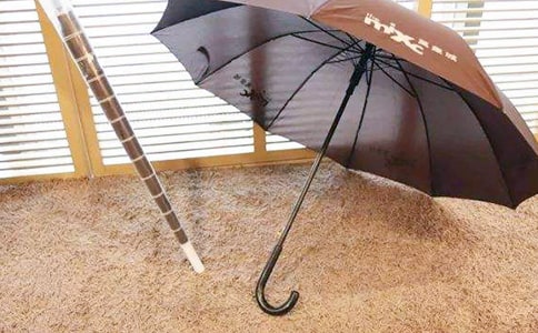 大班優質語言教案《黃雨傘》及活動反思