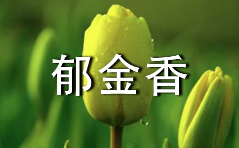 郁金香的花語是什么