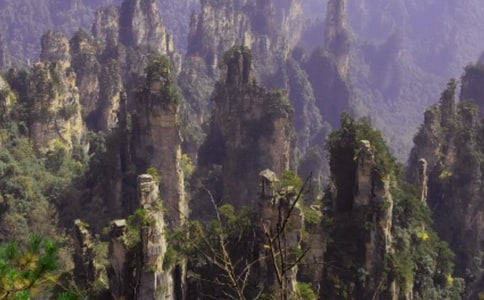張家界各景區(qū)旅游門票價(jià)格