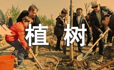 植樹活動方案15篇【精】