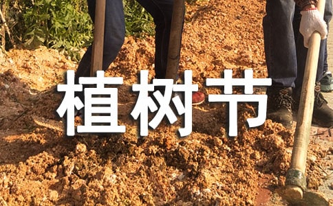 植樹節(jié)的口號(hào)（精）