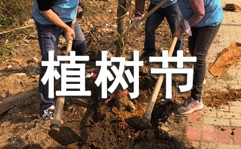 植樹節兒童畫手抄報內容