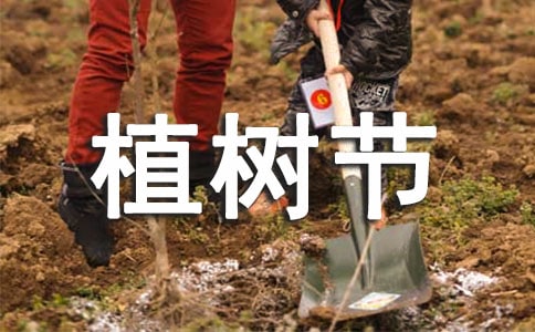 紅包與植樹節關聯口號