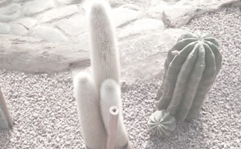 怎么到達北京植物園