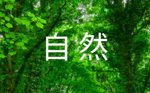 《自然界有趣的現象》四年級閱讀題和答案