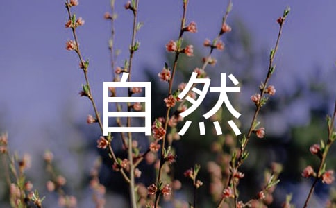 中國最值得去的自然景觀旅游勝地