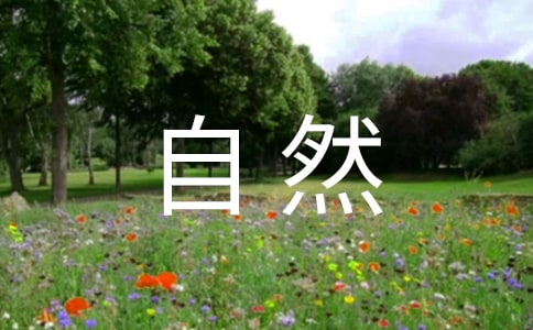 運城濕地自然保護區的旅游情況介紹