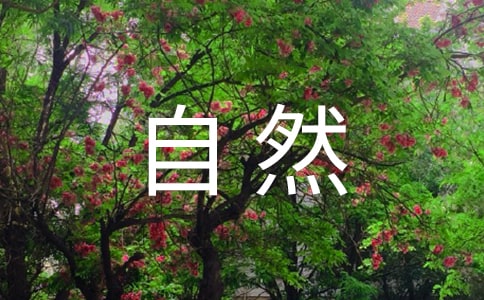 自然流產影響有哪些