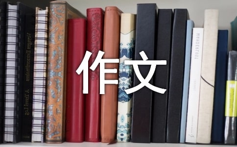（精選）禮儀作文300字5篇
