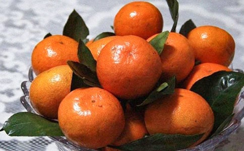 盆栽橘子是什么時候開花集錦