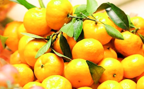 小班美術(shù)撕貼橘子教案