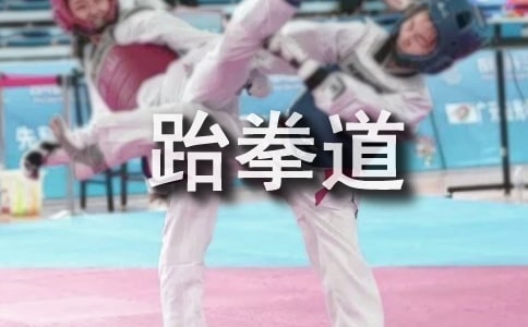 跆拳道技術訓練方法