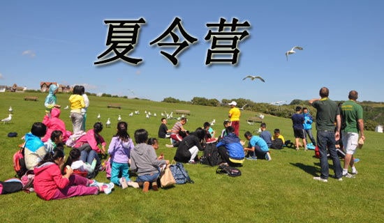 暑假夏令營活動方案