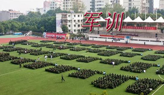 軍訓生活心得體會[實用15篇]