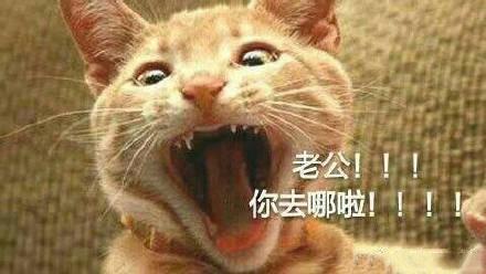 燒茄子怎么做才好吃