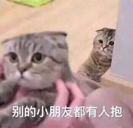 燒茄子怎么做才好吃